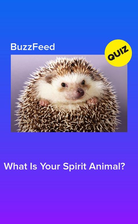 https://www.pinterest.com/pin/523050944220363218/ #quiz #quizzes #buzzfeed #triviaquestionsandanswers #quizzesbuzzfeed #trivia #quizzesforfun #funquiz #spiritanimal What Is My Spirit Animal, Spirit Animal Test, What's My Spirit Animal, Find My Spirit Animal, Spirit Animal Quiz, Whats Your Spirit Animal, Find Your Spirit Animal, What Animal Are You, Zodiac Sign Quiz