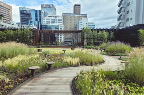 Minimal Landscape Design, Commercial Landscaping, Garden Floor, Landscape Architecture Design, Urban Fabric, Rooftop Garden, Roof Garden, Urban Area, Green Roof