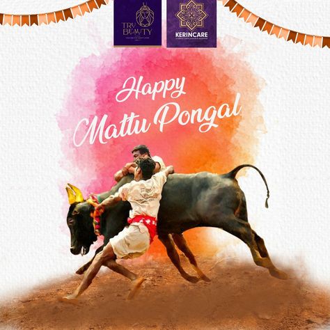 Sending you warm greetings and lots of good luck on the occasion of Mattu Pongal🌼 May you are showered with the best of the blessings of Almighty✨


.
#mattupongal #mattupongal🐂 #mattu #pongal #pongalopongal #pongalwishes #pongalrangoli #pongalcelebration #celebrations #celebrations🎉 #festival #festivalseason #festivalsofindia #🐂 #✨ #trubeauty #kerincare Mattu Pongal Images, Maatu Pongal, Happy Mattu Pongal, Pongal Festival Images, Mattu Pongal, Pongal Images, Pongal Festival, Pongal Celebration, Happy Pongal