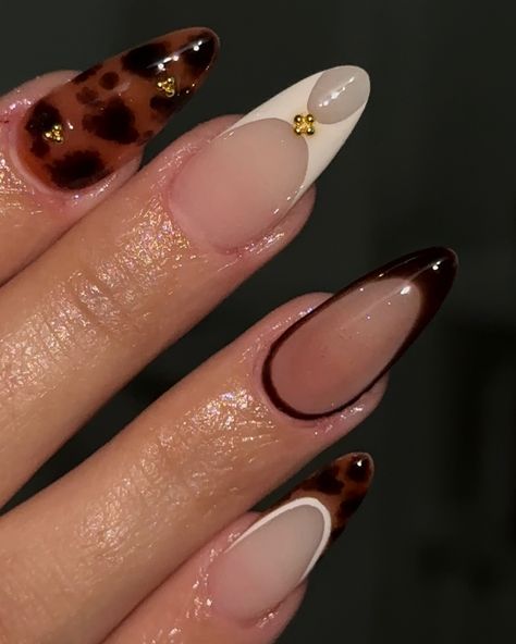 it’s tortoise nail season 🍂 which one is your favorite? .. .. @nailzbymb #nailtech #nail #nails #nailart #nailinspiration #fallnails #brownnails #october #octobernails #trend #trending #trendingreels #explore #explorepage #wylie #wylietx #wylienails Tortishell French Nails, Short Tortoise Nails, Tortoise Nails With Red, Nail Tortoise, Turtle Shell French Tip Nails, Nail Design Tortoise, Turtle Print Nails, Tortoise And Burgundy Nails, Tortishell Nails Design French