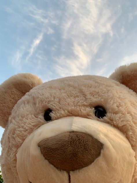 Teddy Bear Aesthetic Pfp, Teddy Bears Aesthetic, Bear Lockscreen, Cute Snaps Ideas, Cuddle Quotes, Animal Photoshoot, Wedding Card Frames, Teddy Bear Wallpaper, Cute Bear Drawings