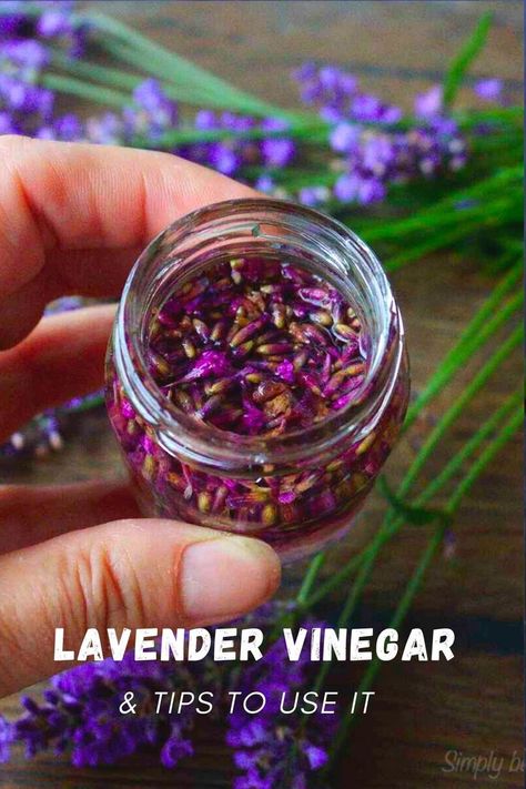 lavender vinegar Dried Lavender Diy Ideas, Lavender Vinegar, Infused Vinegars, Vinegar Cleaner, Lavender Crafts, Lavender Recipes, Grow Herbs, Healing Remedies, Herb Recipes