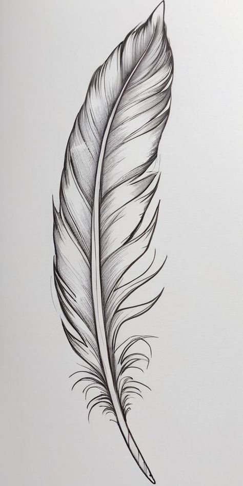 Ink Feather Drawing, Drawing Feathers Sketches, Feather Stencil Tattoo, Feather Tattoo Simple, Unwritten Tattoo, Simple Feather Drawing, Feather Drawing Simple, Feather Design Tattoo, White Feather Tattoo