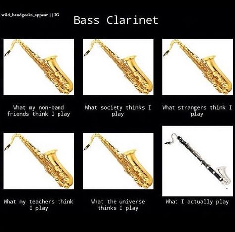 Black Saxophone, Orchestra Humor, Clarinet Humor, Musician Memes, Marching Band Jokes, Marching Band Problems, Marching Band Memes, Band Problems, Funny Band