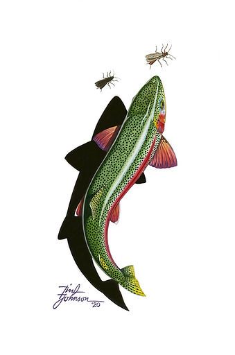 Flyfishing Art, Trout Tattoo, Fly Fishing Tattoo, Trout Painting, Trout Art, Rainbow Trout Fishing, Fly Fishing Art, Fishing Art, Fishing Flies