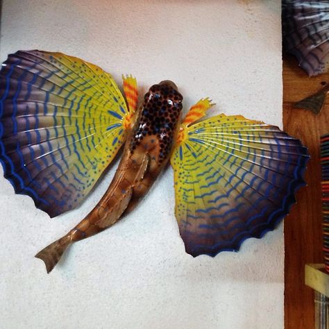 This image is of a very strange, unique and interesting fish called a sea robin. It is very colorful and beautiful. Sea Robin, Interesting Fish, Marine Baby, Fish Board, Sea Things, Creature Inspiration, Marine Creatures, Aquatic Creatures, Ocean Fish