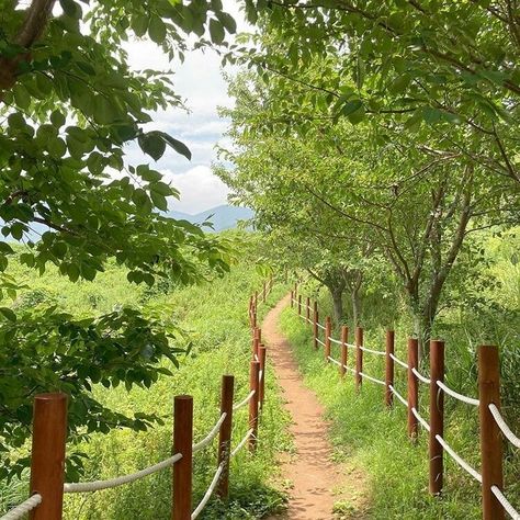 Scenery Forest, Forest Picnic, Travel People, Minimalistic Aesthetic, Korean Japanese, Mountains Landscape, Trees Nature, Pretty Landscapes, Landscape Scenery