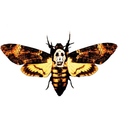 Moth From Silence Of The Lambs, Moth Bleach Design, The Silence Of The Lambs Aesthetic, Silence Of The Lambs Moth, Moth Png, Horror Sleeve, Lamb Drawing, Bleach Designs, Lamb Tattoo