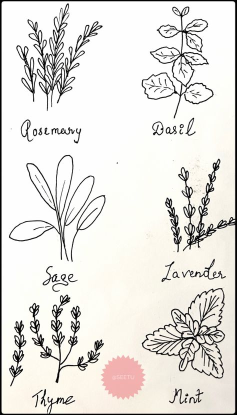 Herbs Embroidery Patterns, Herb Drawings Simple, Herb Doodles, Greenery Doodles, Herb Drawings, Garden Doodles, Witchy Doodles, Lino Print Pattern, Scrapbook Tricks