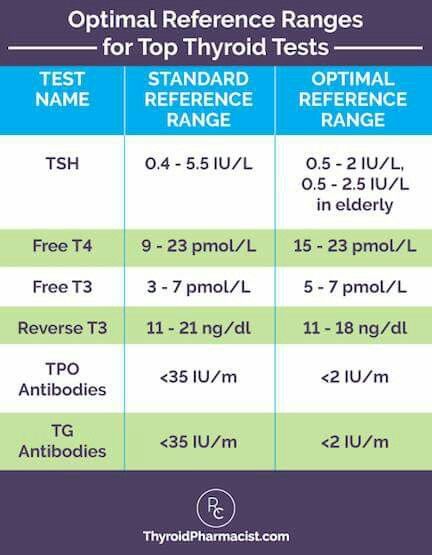 Izabella Wentz, Adrenal Dysfunction, Thyroid Levels, Thyroid Test, Thyroid Symptoms, Hashimotos Disease, Thyroid Issues, Test Results, Adrenal Fatigue