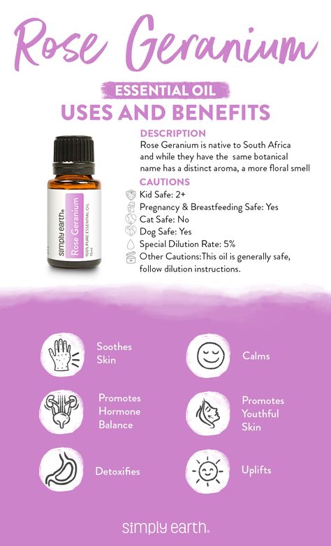 🌿✨ NEW OIL ALERT! ✨🌿  Meet your new mood booster and skin care hero: **Rose Geranium Essential Oil**! 🌺   Used for centuries in South Africa, this luxurious oil is known for its powerful skin benefits and soothing properties.  Enjoy the pure essence of Rose Geranium without any chemical additives. Hand-harvested and pesticide-free, we bring you the best nature has to offer! 💖 💖 💖   #NaturalBeauty #EssentialOils #RoseGeranium #SimplyEarth Rose Geranium Essential Oil Benefits, Simply Earth, Rose Geranium Essential Oil, Essential Oil Education, Clary Sage Essential Oil, Essential Oils Herbs, Sage Essential Oil, Essential Oil Diffuser Recipes, Oil Diffuser Recipes