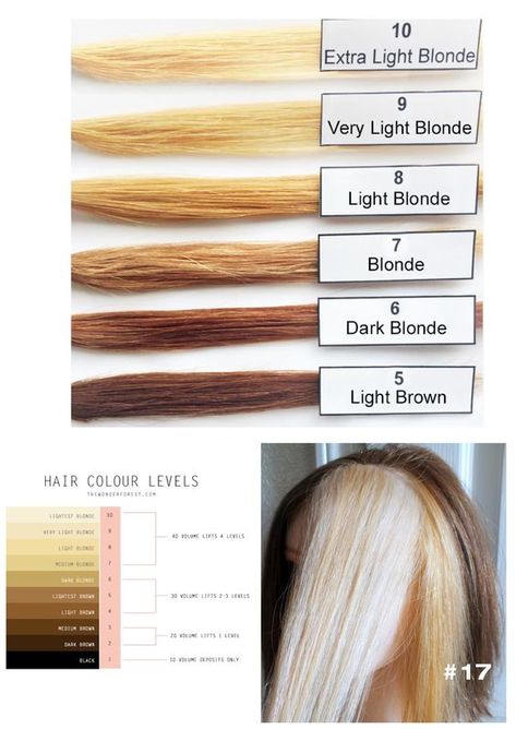 Levels Of Hair Color, Hair Color Wheel, Hair Color Placement, Hair Stages, Hair Dye Videos, Hair Cut Guide, Hair Science, Hair Foils, Haircut Tip