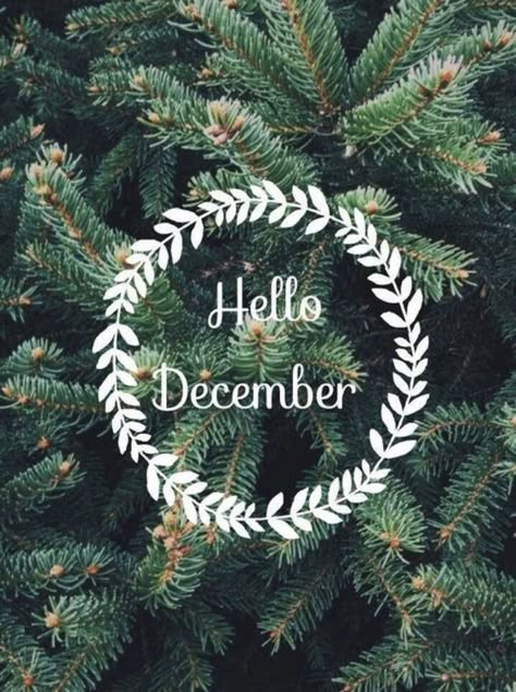 Hello December December Aesthetic Cozy, Hello December Quotes, December Aesthetic, December Quotes, Leaves Changing Color, Winter Fragrance, Hello December, Christmas Aesthetic, Aesthetic Stickers