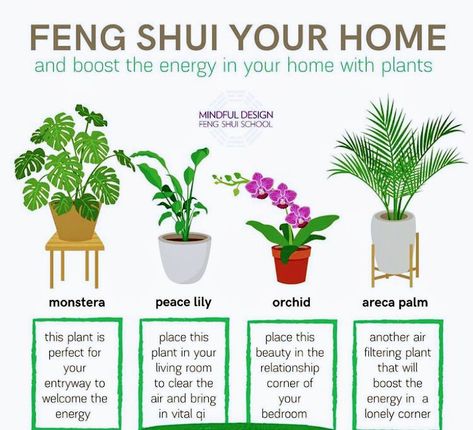 Feng Shui Basics, Feng Shui Plants, How To Feng Shui Your Home, Healing Symbols, Magia Das Ervas, Feng Shui Decor, Plant Care Houseplant, Spiritual Journals, Feng Shui Tips