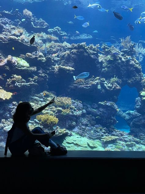 Aquarium Poses Aesthetic, Aquarium Photoshoot Aesthetic, Aquarium Pose Ideas, Aquarium Photo Ideas, Csm Drawing, Aquarium Instagram Pictures, Aquarium Poses, Aquarium Photoshoot, Pretty Photoshoot