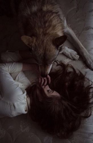 Werewolf Love Aesthetic, Werewolf Girl Aesthetic, Wolves Aesthetic, The Never King, Never King, Wolf And Girl, Wolf Aesthetic, Werewolf Stories, Werewolf Aesthetic