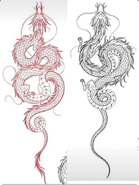 Outline Dragon Tattoo, Dragon Tattoo Outline, Dragon Tattoo Stencil, Dragon Tattoo Drawing, Rare Tattoos, Red Dragon Tattoo, Dragon Tattoo For Women, Dragon Tattoos, Spine Tattoos For Women