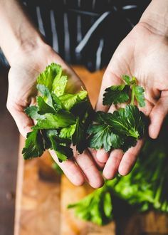 What To Do With Celery Tops, Celery Leaf Salad, Celery Tops Recipe, What To Do With Celery Leaves, Celery Leaves Recipe, Celery Leaves What To Do With, Celery Pesto, Celery Leaves, Celery Recipes