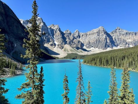 Banff & Glacier Family Trip Itinerary - Amy Bakes Bread Road Trip Glacier National Park To Banff, Glacier National Park To Banff, Glacier National Park And Banff Road Trip, Hiawatha Trail, Grinnell Lake, Lake Louise Banff, Many Glacier, Parks Canada, National Parks Trip