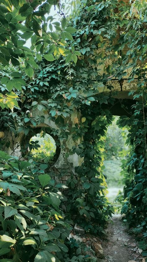 Fantasy Places Secret Gardens, Overgrown Manor, Green Castle Aesthetic, Overgrown Fountain, Elven Garden, Overgrown City, Overgrown Ruins, Forest Ruins, Mystical Places