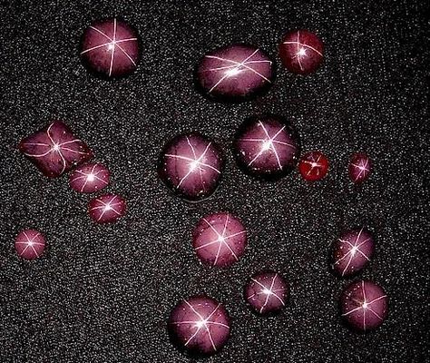 Star garnets are Idaho's state gem. They are found in the Idaho panhandle's national forests. The only other place in the world where star garnets are found is India. Rock Finding, Rock Hunting, Idaho State, Star Garnet, Gem Shop, Pretty Rocks, Places In The World, Spring Jewelry, Beautiful Rocks