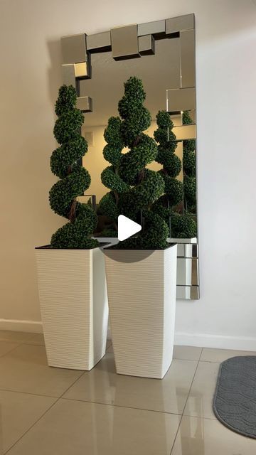 Emc Garden on Instagram: "Spiral topiary ready to go home!!! Thanks you 🙏. #elensgarden #topiary #spiraltopiary #outdoordecor #moderndecor #lowmaintance" Porch Topiary, Spiral Topiary, Ready To Go, Front Porch, Modern Decor, Outdoor Decor, On Instagram, Instagram