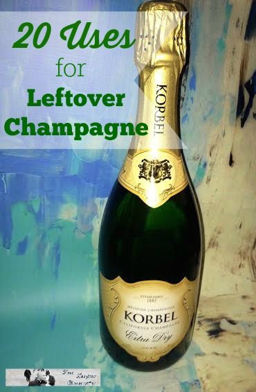 Leftover Champagne Recipes Using Champagne, Leftover Champagne Recipes, Champagne Chicken, Ice Ideas, Real Advice, Booze Drink, Champagne Drinks, Champagne Taste, Champagne Party