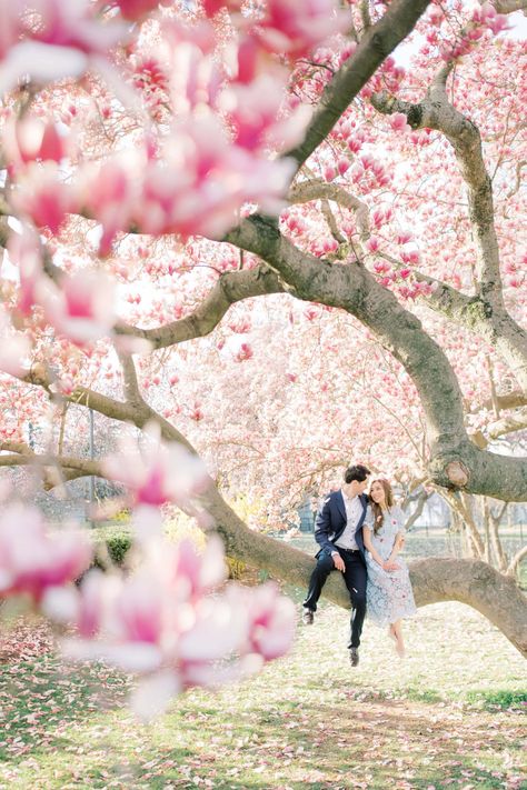 Washington Dc Spring, Cherry Blossom Washington Dc, Washington Dc Engagement Photos, Blossom Pictures, Cherry Blossom Dc, Prenup Photos Ideas, He Looked At Me, Cherry Blossom Engagement, Cherry Blossom Pictures