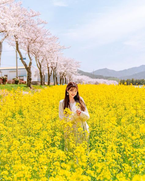 Field Of Yellow Flowers, Cute Quick Hairstyles, Flower Photoshoot, Bff Photoshoot Poses, Bff Photoshoot, Pic Pose, Cute Cartoon Pictures, Fields Photography, Trik Fotografi