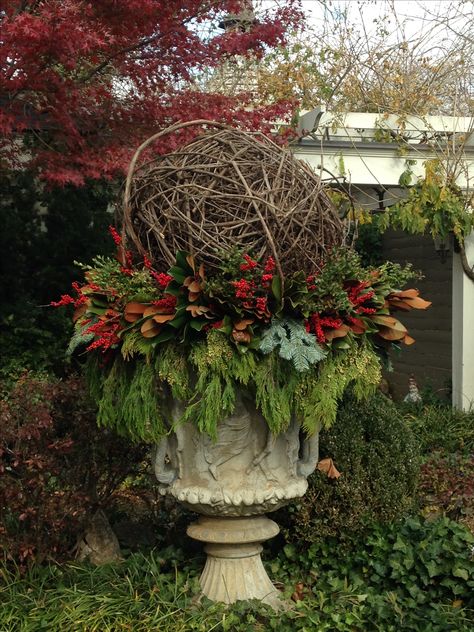 Large grapevine ball in a large urn on a nest of cut winter greens. Designed by Deb Wiles Grapevine Balls Christmas, Planter Design Ideas, Outdoor Planter Designs, Holiday Planters, Grapevine Balls, Porch Pots, Winter Container Gardening, Winter Planters, Outdoor Urns