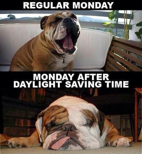 15 Daylight Saving Time Memes That Capture How Most Of Us Feel About The Time Change Daylight Savings Time Meme, Daylight Savings Meme, Daylight Savings Time Humor, Daylight Saving Time, Dentist Humor, Time Change, Daylight Saving, Tuesday Humor, Monday Humor