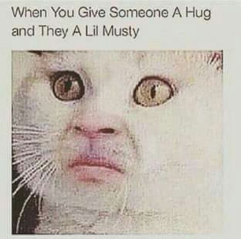 Musty Funny As Hell, Funny Cat Memes, Laughing So Hard, Funny Me, Bones Funny, Funny Posts, Dankest Memes, Cat Memes, Really Funny