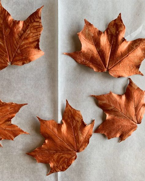 Maple Apple Cake with White Chocolate Leaves – Bakers Brigade Chocolate Leaves, Cake With White Chocolate, White Chocolate Candy, Thanksgiving Cakes, Leaf Cookies, Chocolate Roses, Chocolate Candy Melts, Apple Cake, Maple Leaves