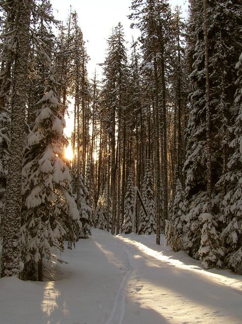 Canada Sunset, The Blue Castle, Van Palmer, American Wilderness, Blue Castle, Canadian Wilderness, Winter Survival, Nature Places, Magic Forest