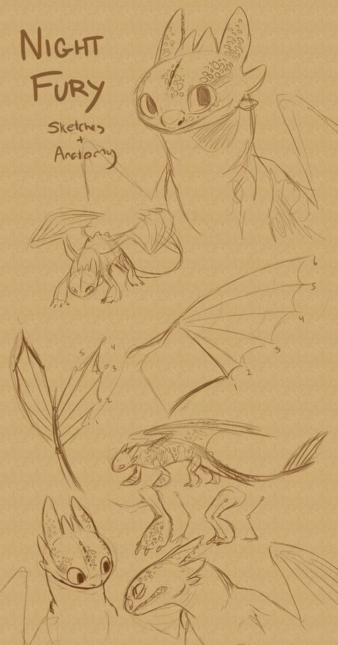 toothless sketches. Toothless Sketch, Toothless Drawing, Drawing Night, Dragon Anatomy, Night Fury Dragon, Train Drawing, Httyd Art, Toothless Dragon, Dragon Sketch