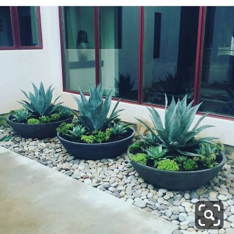 Does anyone know where to buy giant pots that arnt crazy expensive?? Happy to buy them and paint the colour I after.. Beautiful Front Yard Landscaping, Porch Landscaping, Property Ideas, Front Garden Landscape, Front Yard Design, House Landscaping, Front Landscaping, Rock Garden Landscaping, Have Inspiration