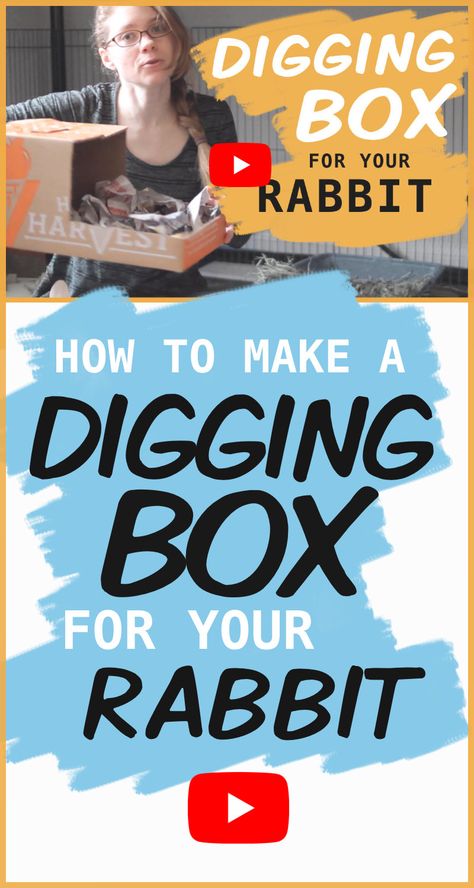 Diy Digging Box For Rabbit, Rabbit Dig Box Ideas Diy, Diy Digging Box For Bunny, Rabbit Dig Box Ideas, Toys For Rabbits Diy, Digging Box For Rabbits, Dig Box For Rabbit, Bunny Dig Box Ideas, Bunny Digging Box Diy