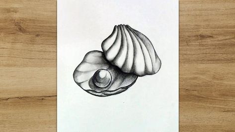 In this tutorial, I want to show you how to draw a seashell with a pencil. #shell_drawing #drawing #sketch #howtodraw Draw A Seashell, Shell Sketch, Seashell Drawing, Pencil Drawing Tutorial, Shell Drawing, Pencil Drawing Tutorials, Draw Realistic, Pencil Shading, Object Drawing