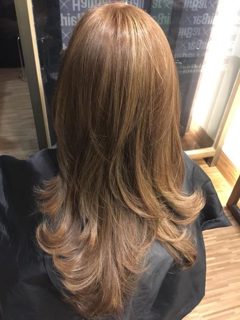 Brown Shades Hair, Hair Expo, Long Layer, Honey Brown Hair, Brown Hair Inspo, Dirty Blonde Hair, Hairstyles For Layered Hair, Pretty Hair Color, Asian Hair