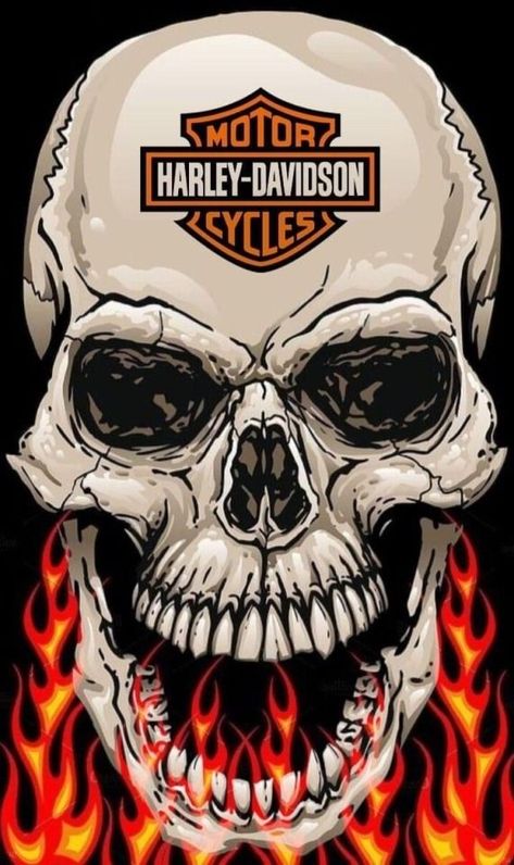 Harley Davidson Design, Logo Harley Davidson, Harley Davidson Decals, Motorcycle Art Painting, Harley Davidson Decor, Harley Tattoos, Harley Davidson Images, Harley Davidson Posters, Harley Davidson Pictures