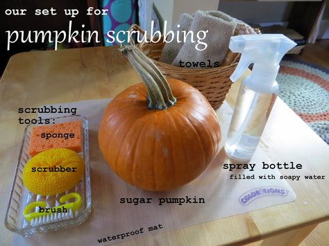 Pumpkin Practical Life, Halloween Montessori Practical Life, October Montessori Shelves, Montessori Pumpkin Activities, Pumpkin Montessori Activities, Fall Practical Life Montessori, Pumpkin Toddler Activities, Halloween Montessori Activities, Montessori Pumpkin