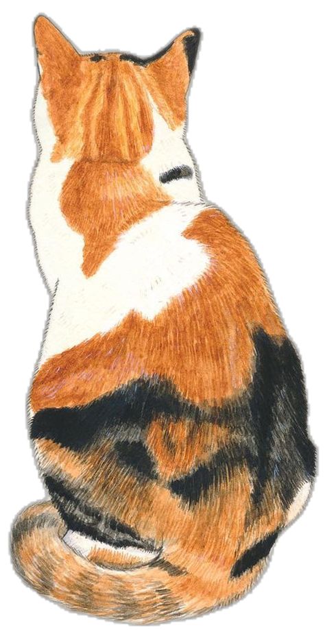 Colorful Cat Drawing, Calico Cat Sketch, Calico Cat Watercolor, Calico Drawing, Calico Cat Drawing, Calico Cat Painting, Fur Drawing, Quiet Cat, Fur Pattern