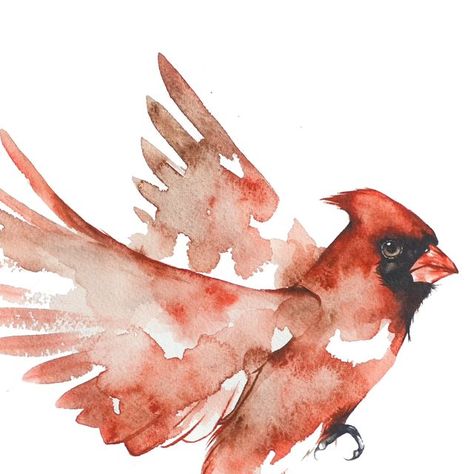 Kiley Busko on Instagram: "Flying cardinal watercolor" Birds In Flight Art, Cardinal Flying, Flying Cardinal, Cardinal Watercolor, Watercolor Birds, Watercolor Ideas, Watercolor Bird, Birds Flying, Watercolor Techniques