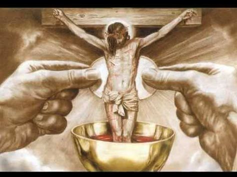 Eucharistic Miracle, Lode A Dio, Catholic Wallpaper, Eucharistic Adoration, Catholic Company, Blood Of Christ, Divine Mercy, Eucharist, Psalm 23