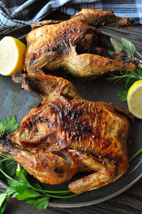 Two air fryer cornish hens on a plate with lemon halves and greens. Cornish Hen In Air Fryer, Cooking Cornish Hens, Cornish Hen Recipe, Cornish Hen, Air Fryer Fish, Cornish Hens, Air Fryer Recipes Easy, Air Fryer Recipes Healthy, Air Fryer Chicken