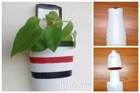 This is a guide about making a shampoo bottle planter. Turn an empty shampoo bottle into a cute planter in a few easy steps. Flag Crafts, Craft Knife, Color Shampoo, Small Plants, Hanging Planters, Easy Steps, Easy Step, Bottles Decoration, Shampoo Bottle