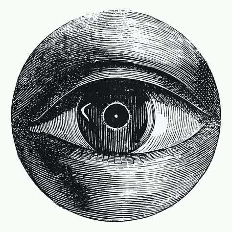 Vintage eye drawing vector, remixed from artwork by Isaac Weissenbruch. | free image by rawpixel.com / Moss Vintage Eyes, Rare Eyes, Trending Images, Eye Illustration, Eyes Wallpaper, Drawing Vector, Vintage Elements, Vintage Objects, Dark Eyes