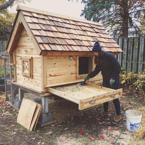 Reban Ayam, Backyard Chicken Coop Plans, Diy Chicken Coop Plans, Coop Design, Chicken Coop Designs, Chicken Garden, Coop Plans, Building A Chicken Coop, Chicken Coop Plans