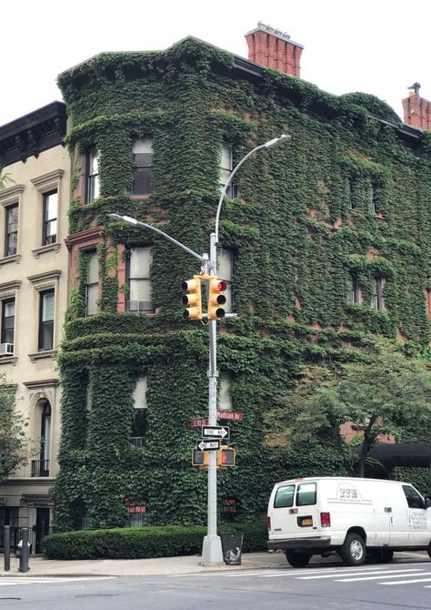 Where to Find Ivy Covered Houses in NYC Brick And Ivy Aesthetic, Ivy House Aesthetic, Green Ivy Aesthetic, Ivy Covered House, Ivy Covered Mansion, Ivy Building Aesthetic, Ivy Wall, Nyc Guide, Townhouse Exterior