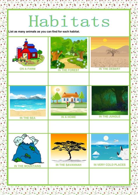 Animals - Habitats - English ESL Worksheets for distance learning and physical classrooms Habitat Worksheet, Habitat Activities, Kindergarten Posters, Animal Worksheets, Preschool Classroom Decor, Reasoning Skills, List Of Animals, Kids Math Worksheets, Animal Habitats